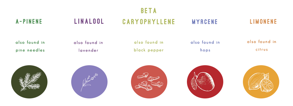 Terpenes