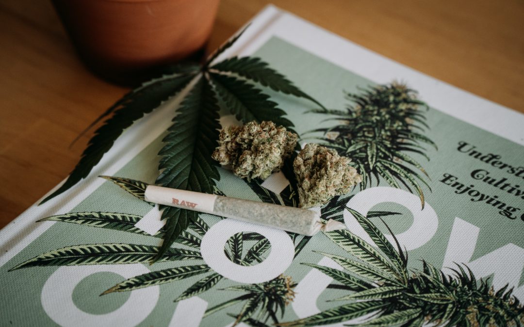 Marijuana Legalization in the United States