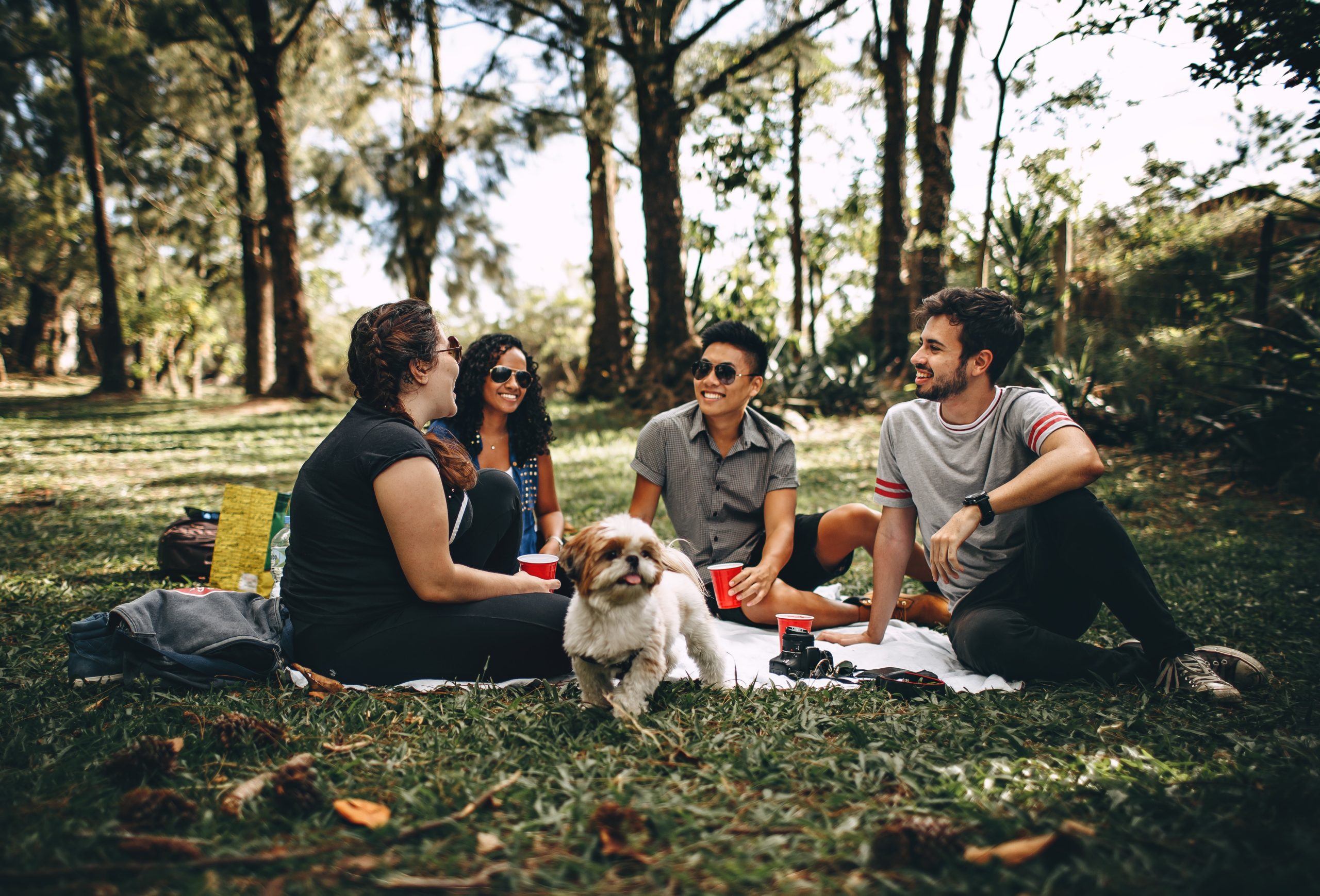 first time cannabis users on picnic, creating the right setting